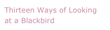 Thirteen Ways of Looking at a Blackbird